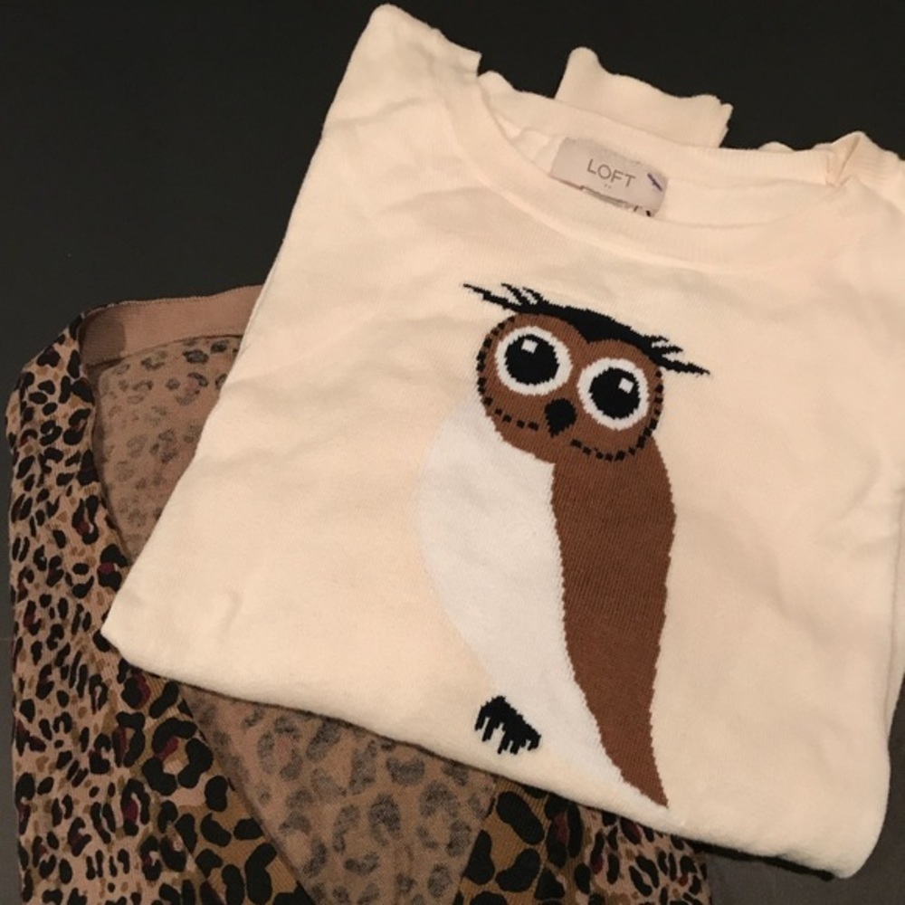 - LOFT Cream Color Owl Sweater - S. #Halloween
